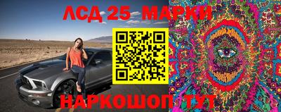 дмт Жуковский