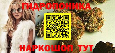 скорость Заводоуковск