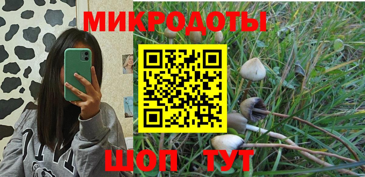 Псилоцибиновые грибы Magic Shrooms  Псилоцибиновые грибы Magic Shrooms  Вход с VPN  Кандалакша 